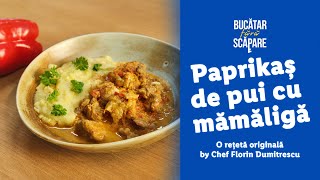 Paprikas de pui cu mamaliga • Chef Florin Dumitrescu [upl. by Kiona]