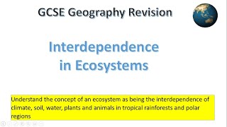 Interdependence in ecosystems [upl. by Christos48]