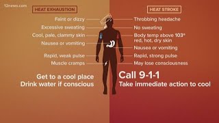 Heatstroke vs heat exhaustion [upl. by Maia]