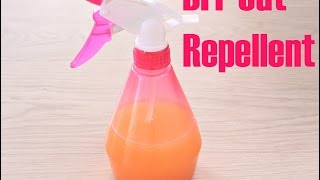 DIY CAT REPELLENT [upl. by Florenza389]