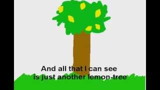 LEMON TREE  Fools Garden with LYRICS [upl. by Ime]