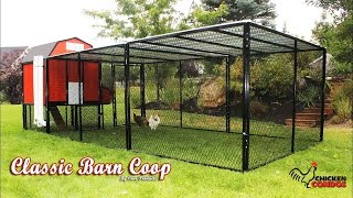 Classic Barn Chicken Coop Build [upl. by Nylaras]