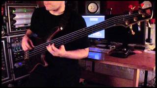 Cynic quotVeil of Mayaquot Bass PlayThrough by Sean Malone [upl. by Fransisco]