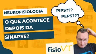 Transmissão Sináptica  03 Potenciais PósSinápticos  Neurofisiologia [upl. by Ellsworth]