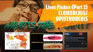 LIVER FLUKES Part 2 of 2  CLONORCHIS amp OPISTHORCHIS [upl. by Aonehc]