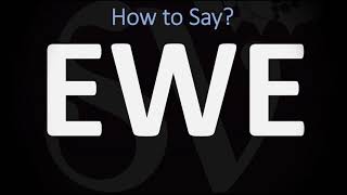 How to Pronounce Ewe CORRECTLY [upl. by Meridel]