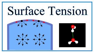 Surface Tension of Water Explained [upl. by Ettenahs]