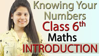 Introduction  Knowing Our Numbers  Chapter 1  Class 6th Maths [upl. by Zondra]