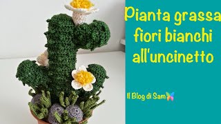 Spiegazione della pianta grassa alluncinetto con i Fiori bianchi [upl. by Zolnay907]