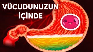 Vücudunuzun İçine Doğru Bir Yolculuk [upl. by Yde]