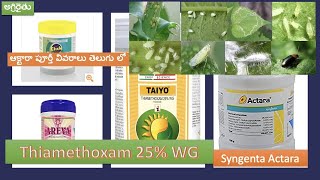 Syngenta Actara Insecticide in Telugu  Thiamethoxam 25 WG  ఆక్టర పూర్తీ వివరాలు తెలుగు లో [upl. by Farrah316]