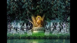 La vita di Buddha [upl. by Cullie]