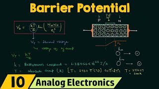 Barrier Potential [upl. by Charlot]