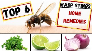 How to act and TREAT a WASP STING  Top 6 Home Remedies [upl. by Aikar]