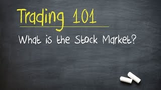 Trading 101 What is the Stock Market [upl. by Yroc939]