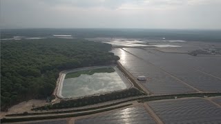 Aquí está el agua que no llega a Doñana [upl. by Beau]