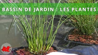 Bassin de jardin  Plantes aquatiques [upl. by Hurst]