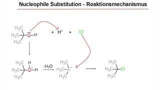 Nucleophile Substitution und Halogenidnachweis [upl. by Senilec]