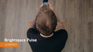 Brightspace Pulse  Navigation  Learner [upl. by Hogarth109]