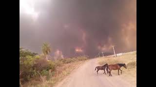 Incendios Corrientes  quotProyectos Problemas Ambientalesquot [upl. by Caren]