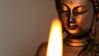 Buddhas Flute Music  Healing Sounds [upl. by Dlawso63]