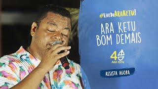 Ara Ketu  Ara Ketu Bom Demais Live do Ara Ketu [upl. by Vary]