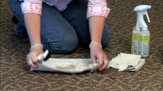 Ecolab  Carpet Spotting Video [upl. by Adnohrahs]