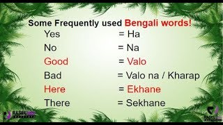 Learn Some Frequently Used Bengali Words in English Part 1 [upl. by Dnalwor]