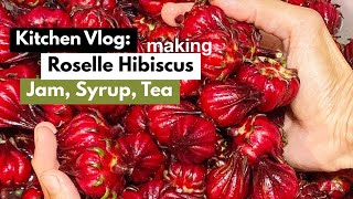 Roselle Hibiscus Harvesting making Jam Syrup amp Tea  Kitchen Vlog [upl. by Kehsihba]