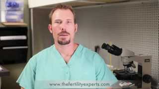 Semen Analysis for Male Infertility [upl. by Eesyak]