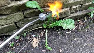 Gas Weed Burner In Use [upl. by Gamaliel926]