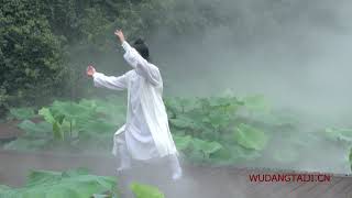 Wudang Tai Chi 13 by Master Chen Shiyu [upl. by Najed577]