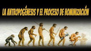 La antropogénesis y el proceso de hominización [upl. by Friedrich]