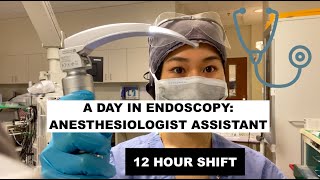 A day as an Anesthesiologist Assistant in EndoscopyGI [upl. by Flower74]