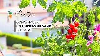 🪴 Cómo Hacer un Huerto Urbano en Casa Paso a Paso [upl. by Buskirk]