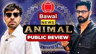 ANIMAL Public Review  Bawaal News [upl. by Einnig]