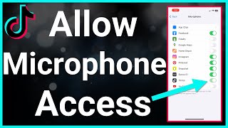 How To Allow TikTok Access To Microphone [upl. by Subir]