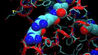 An Introduction to Molecular Dynamics [upl. by Rudolf]