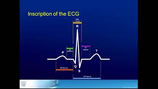 6Step Method for 12Lead ECG Interpretation [upl. by Pren564]