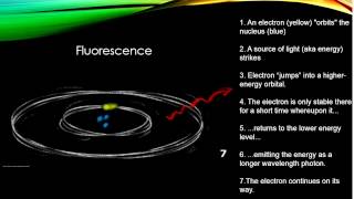 Luminescence [upl. by Gio]