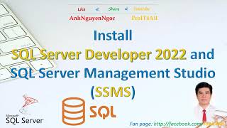 Cài đặt SQL Server Developer 2022 và SQL Management Studio [upl. by Aivull]