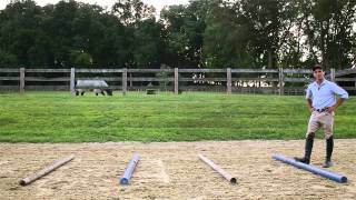 A Simple Three Part Gymnastics Exercise For Your Horse [upl. by Nage835]