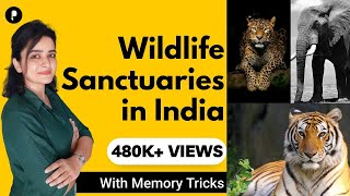 Wildlife Sanctuaries in India with States  Important Facts amp Endangered Species  Memory Tricks [upl. by Ricca]