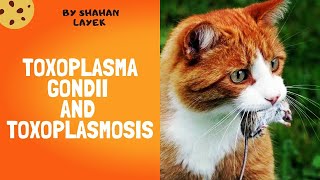 Toxoplasma Gondii and Toxoplasmosis  Clinical Manifestations  Life cycle  Treatment [upl. by Silera]