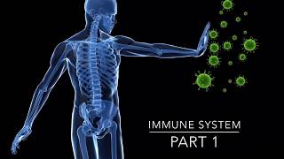 4 Examples of Pathogens  Immune System [upl. by Irvine]