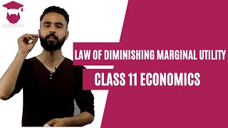 Law of Diminishing Marginal Utility  New Syllabus  Class 11  Economics [upl. by Tidwell]