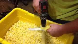 Fastest way to Cut corn off Cobb for freezing or canning [upl. by Aenert]