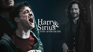 Harry amp Sirius  Even After Death [upl. by Helene276]