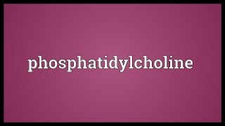 Phosphatidylcholine Meaning [upl. by Su]