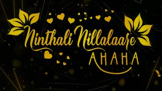 Ninthalli Nillalaare Full Lyrical Video [upl. by Priscilla159]